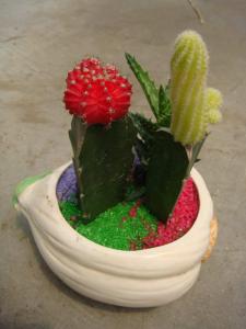 其它观叶植物